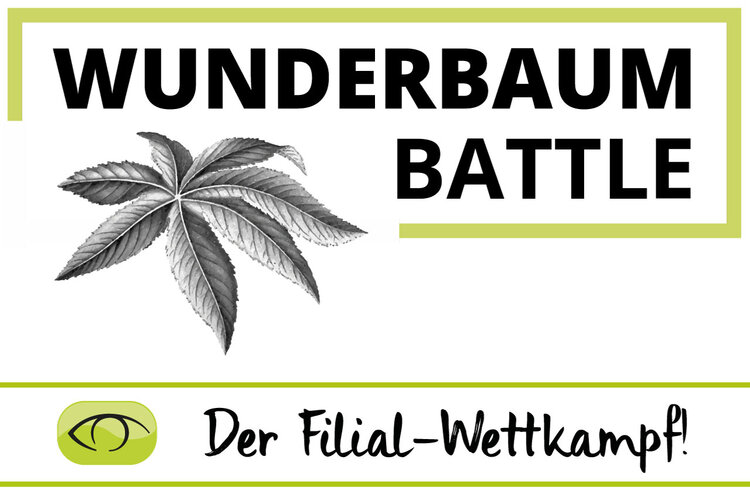 Grafik Wunderbaum Battle